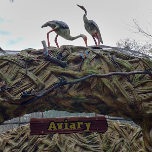 Walk In Aviary photo