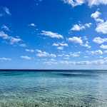 Photo n°11 de l'avis de Diletta.i fait le 15/04/2024 à 09:59 sur le  Ristorante Calamosca à Cagliari