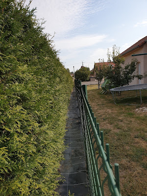 Clospeed à Jeanménil