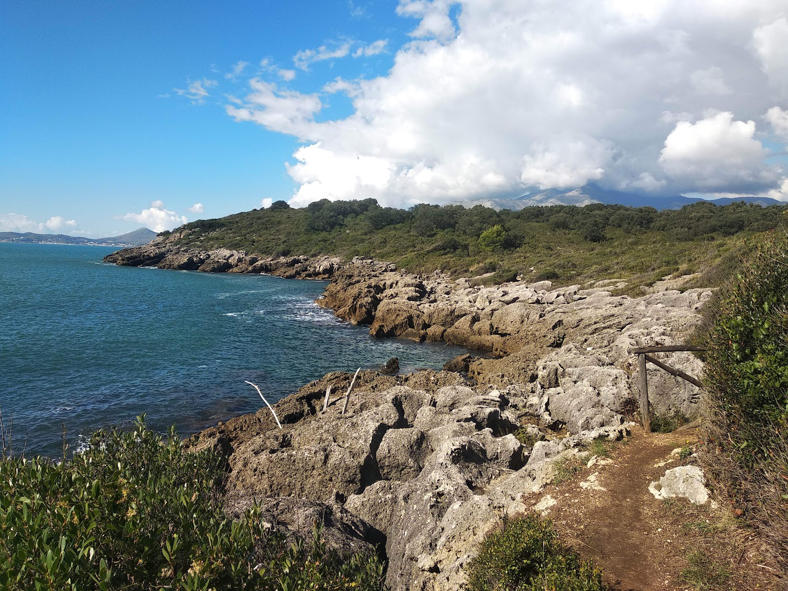 Porto Cofaniello Beach'in fotoğrafı - tatil için iyi evcil hayvan dostu nokta