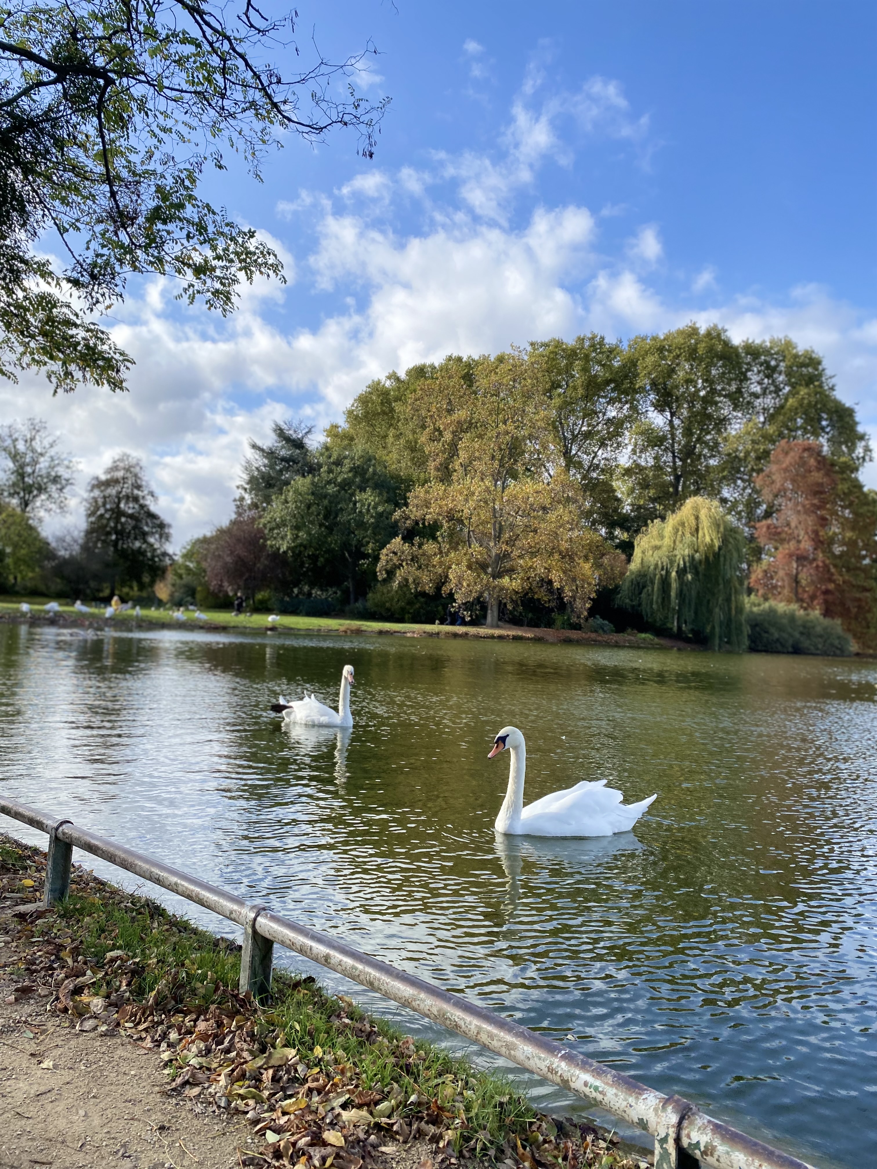 Photo n° 3 de l'avis de Layana. fait le 02/11/2022 à 13:10