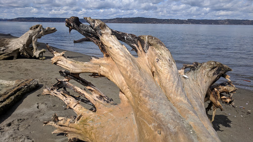 State Park «Dash Point State Park», reviews and photos, 5700 SW Dash Point Rd, Federal Way, WA 98023, USA