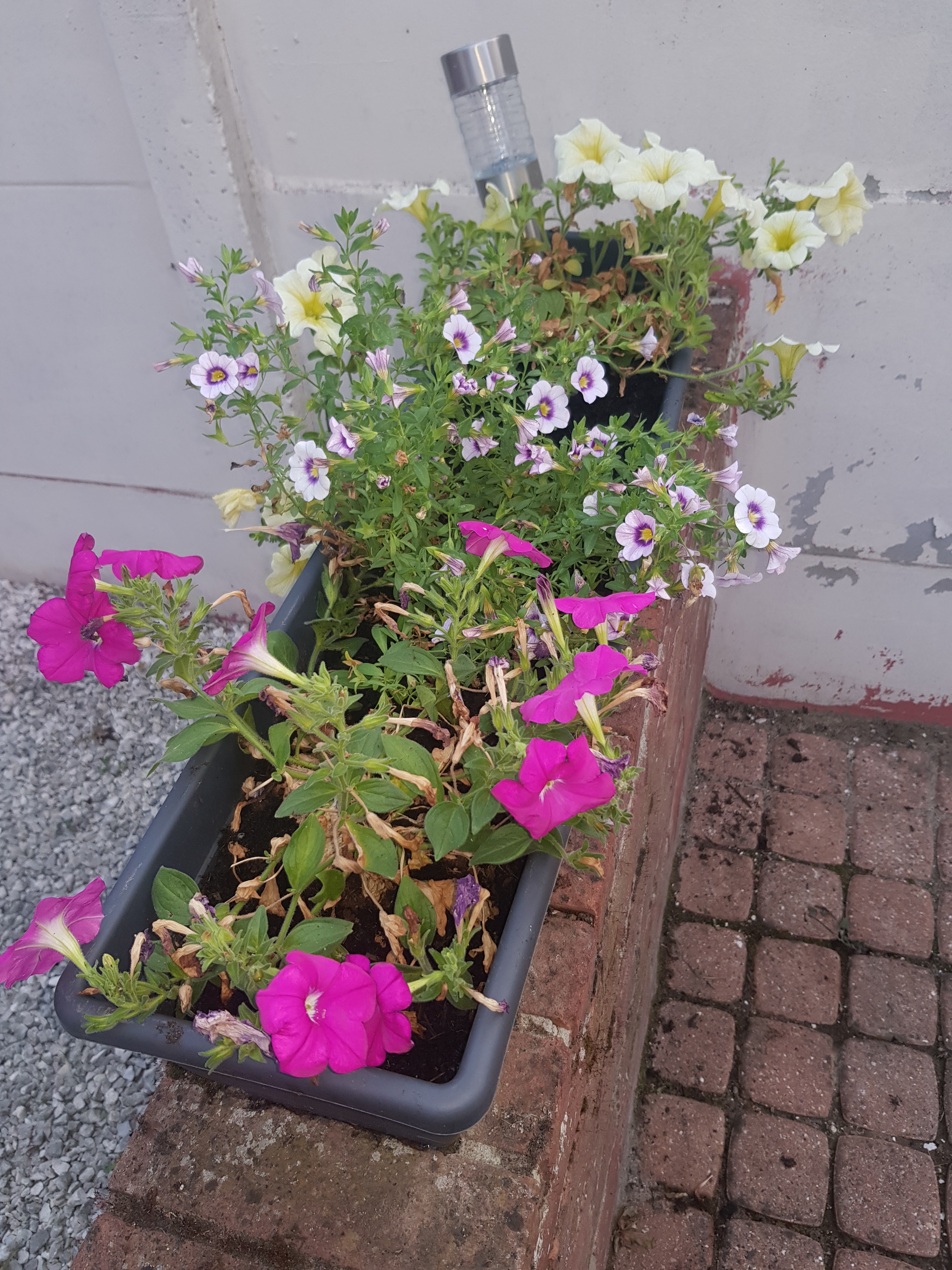 Photo n° 5 de l'avis de Alexandra.o fait le 01/07/2019 à 19:28