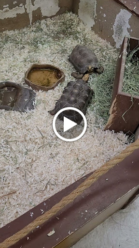 Pet Supply Store «PetKraze», reviews and photos, 100 Independent Way, Brewster, NY 10509, USA