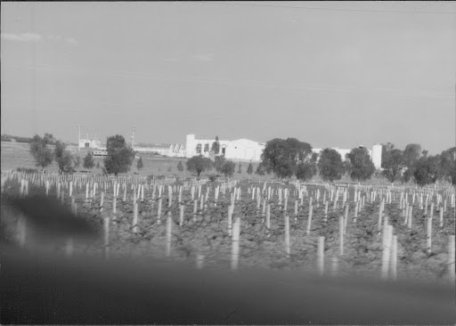 Attorney «Law Office of Francisco Hernandez», reviews and photos