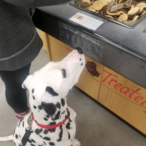 Pet Supply Store «Petco Animal Supplies», reviews and photos, 7303 Pinnacle Pkwy, Covington, LA 70433, USA