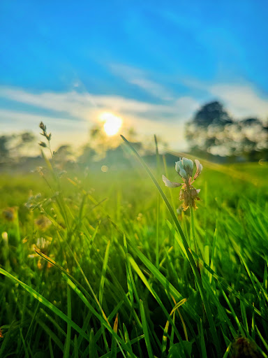 Park «Masconomo Park», reviews and photos, 60 Beach St, Manchester-by-the-Sea, MA 01944, USA