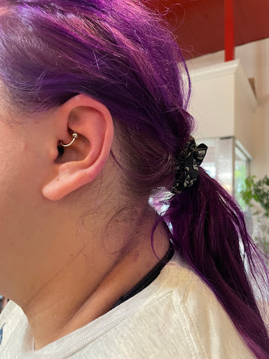 Explore rhino tattoo ideas, creative tattoo ideas in Green Bay, available at Colourbox Body Piercing Llc