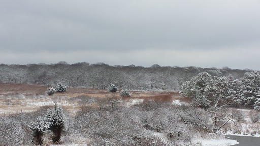 Natural History Museum «South Fork Natural History Museum & Nature Center», reviews and photos, 377 Bridgehampton-Sag Harbor Turnpike, Bridgehampton, NY 11932, USA