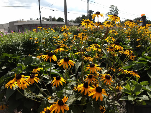 Landscaper «Garden Greenhouse & Nursery», reviews and photos, 1919 U.S. 9, Cape May Court House, NJ 08210, USA