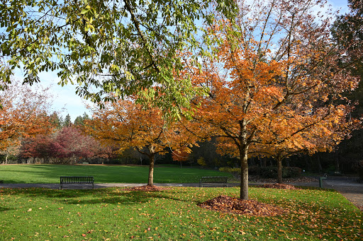 Park «Rood Bridge Park», reviews and photos, 4000 SE Rood Bridge Rd, Hillsboro, OR 97123, USA
