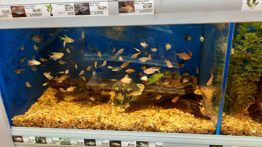 Pet Supply Store «Pet Supermarket», reviews and photos, 1800 W 68th St #140, Hialeah, FL 33014, USA