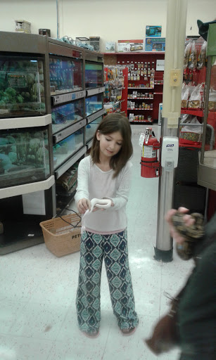 Pet Supply Store «Petco Animal Supplies», reviews and photos, 1207 S Caraway Rd, Jonesboro, AR 72401, USA