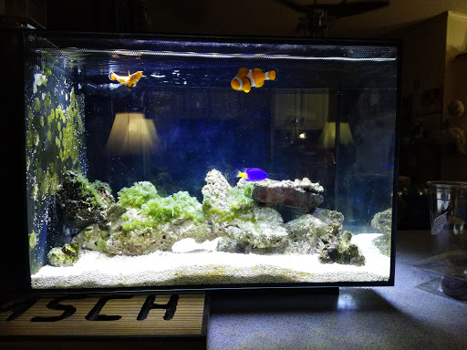 Pet Supply Store «PetSmart», reviews and photos, 14420 Farm to Market 2920, Tomball, TX 77377, USA