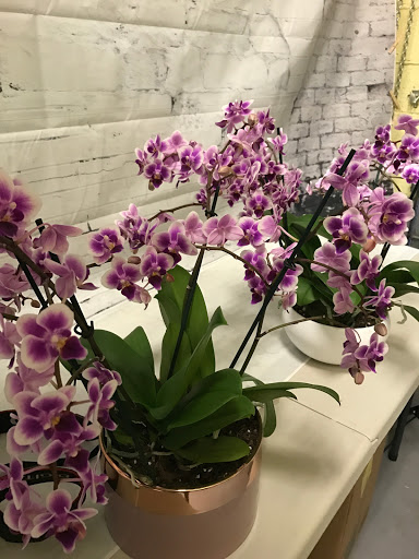 Florist «Flowers By Pouparina», reviews and photos, 1868 W Flagler St, Miami, FL 33135, USA