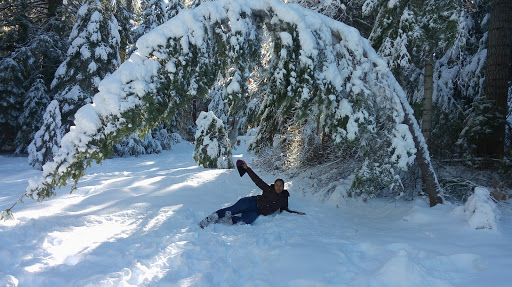 General Store «Fish Camp General Store», reviews and photos, 1191 CA-41, Fish Camp, CA 93623, USA