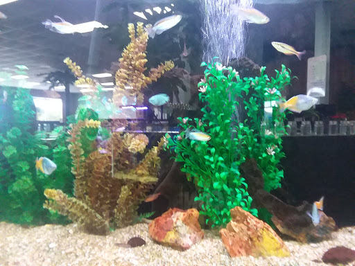 Aquarium «Aquarium World», reviews and photos, 13157 Northwest Fwy, Houston, TX 77040, USA