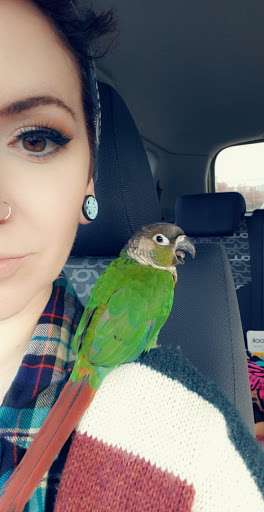 Pet Store «Discount Pet & Supplies», reviews and photos, 16320 Middlebelt Rd, Livonia, MI 48154, USA