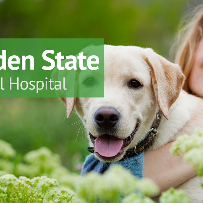 VCA Garden State Animal Hospital