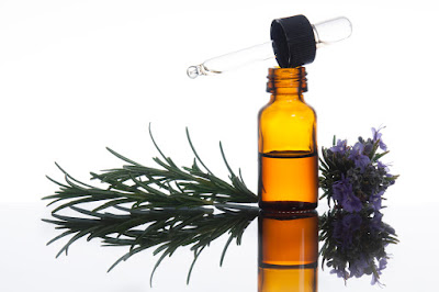 Les sens des plantes (aromathérapie, conseils personnalisés, ateliers initiation huiles essentielles, relaxation olfactive) à La Motte-Servolex