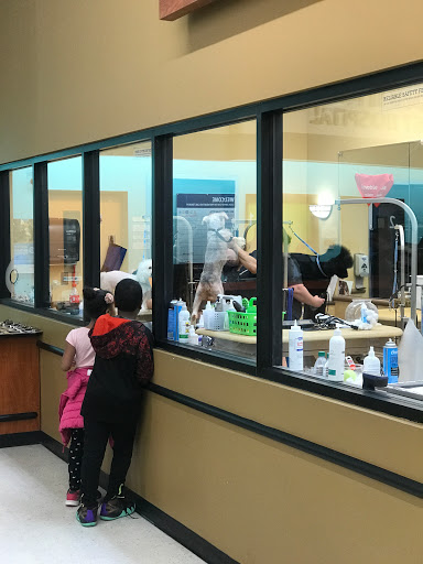 Pet Supply Store «PetSmart», reviews and photos, 5 Mystic View Rd, Everett, MA 02149, USA