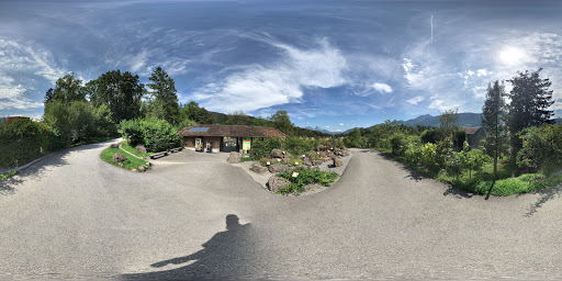 site_photo3