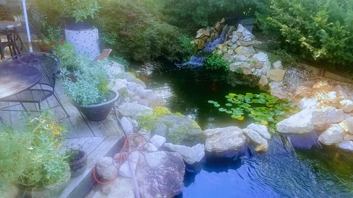 Wine Store «Grayhaven Winery», reviews and photos, 4675 E Gray Fox Cir, Mineral, VA 23117, USA