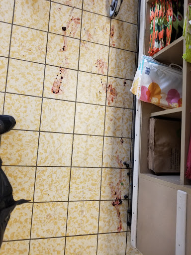 Supermarket «ALDI», reviews and photos, 41500 Hayes Rd, Charter Twp of Clinton, MI 48038, USA