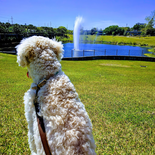 Park «Cascades Park», reviews and photos, 1001 S Gadsden St, Tallahassee, FL 32301, USA