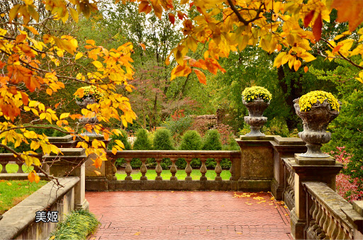 Tourist Attraction «Old Westbury Gardens», reviews and photos, 71 Old Westbury Rd, Westbury, NY 11590, USA