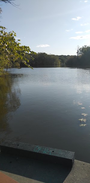 Willow Lake Estates - photo 87