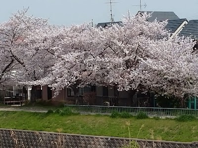 天野川緑地