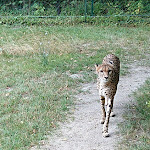 Photo n°12 de l'avis de E. fait le 14/07/2019 à 06:58 sur le  Sambesi à Kronberg