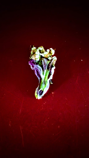 Museum «El Museo Del Barrio», reviews and photos, 1230 5th Ave, New York, NY 10029, USA