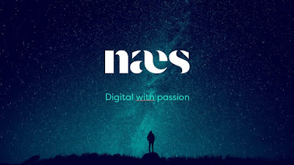 Naes Consulting