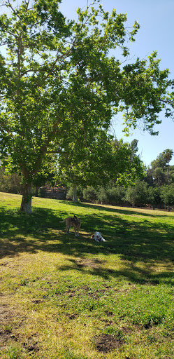 Park «Zelzah Park», reviews and photos, 11690 Zelzah Ave, Granada Hills, CA 91344, USA