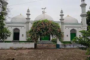 Sher Shah Suri Masjid image
