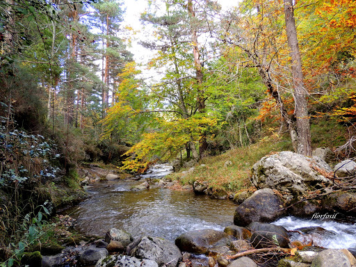 Información y opiniones sobre El Achichuelo de Villoslada De Cameros