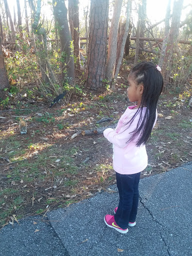 Park «Al Helms Dog Park», reviews and photos, 1022 Balboa Ave, Panama City, FL 32401, USA