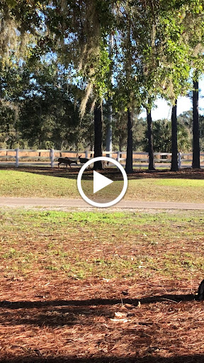 Golf Club «Silver Dollar Golf & Trap Club», reviews and photos, 12711 Silver Dollar Dr, Odessa, FL 33556, USA