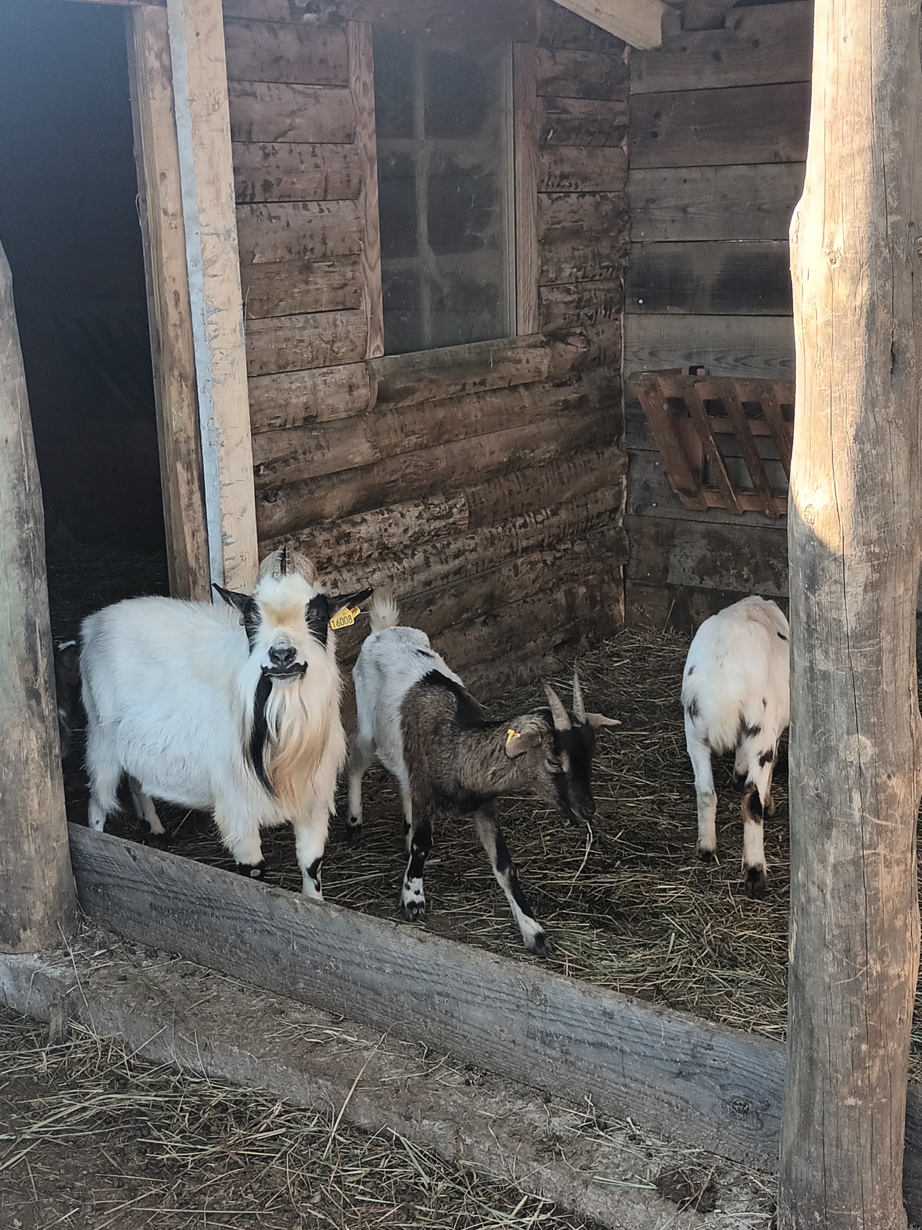 Photo n° 11 de l'avis de mélanie.e fait le 19/02/2023 à 14:46