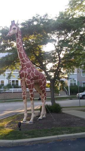 Amusement Center «LaserLite», reviews and photos, 4505 E 3rd St, Bloomington, IN 47401, USA