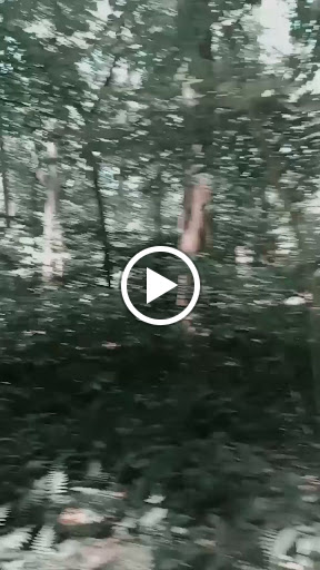 State Park «Alapocas Run State Park», reviews and photos, 1914 W Park Dr, Wilmington, DE 19803, USA