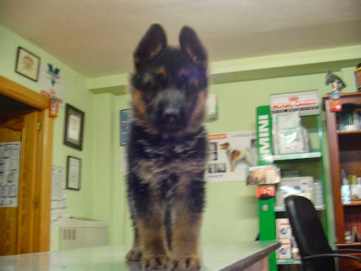 Clínica Veterinaria La Ronda en Santa Fe