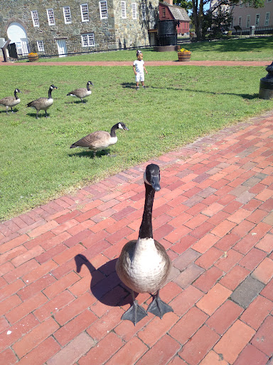 History Museum «SLATER MILL-Historic Site», reviews and photos, 67 Roosevelt Ave, Pawtucket, RI 02860, USA