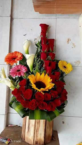 Florería San José – Jilotepec de Molina Enríquez