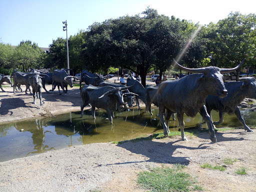 Aquarium «The Dallas World Aquarium», reviews and photos, 1801 N Griffin St, Dallas, TX 75202, USA