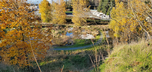 Park «Duwamish Hill Preserve», reviews and photos, 3800 S 115th St, Tukwila, WA 98168, USA