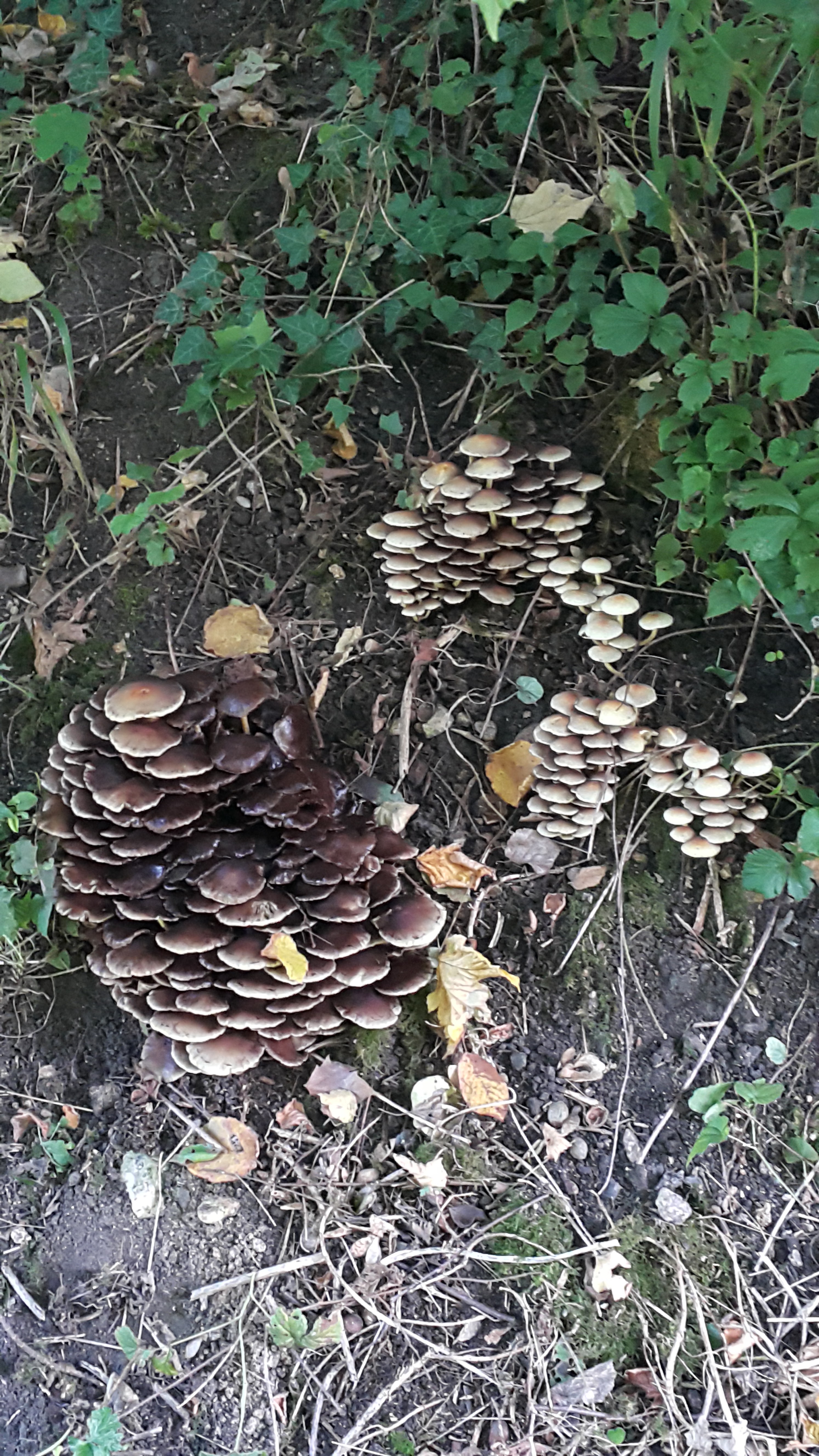 Photo n° 14 de l'avis de Maria.o fait le 25/08/2020 à 15:09