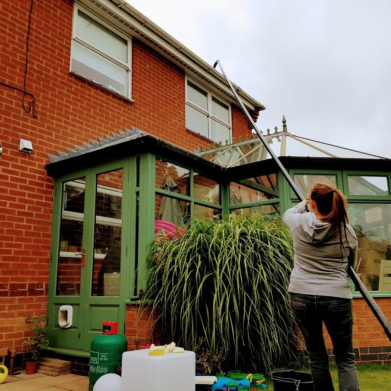 Shiny Windows - Window & Gutter Cleaning